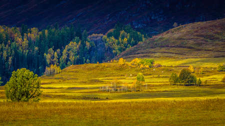 Landscape scenery view of a grassland in Xinjiang, Chinaの写真素材