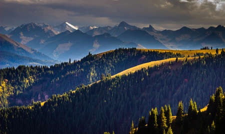 Landscape scenery view of a grassland in Xinjiang, Chinaの写真素材