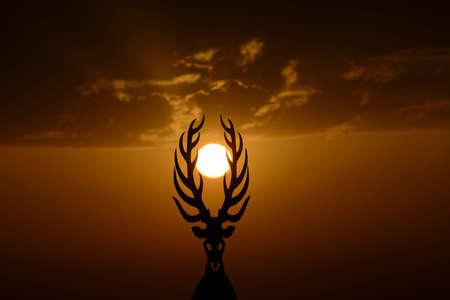 Sunsetの写真素材