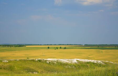 plantの写真素材