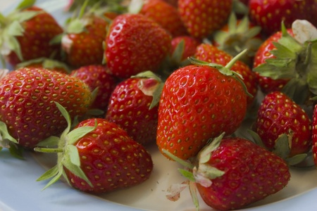 strawberriesの写真素材