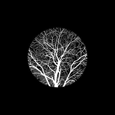 minimalistic cropped image of a winter tree in a circle. design element for cards, simple concise illustration.のイラスト素材