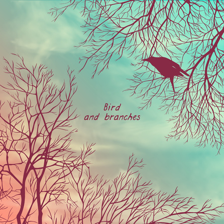 Square banner with crows and tree branches. Template for postcard, poster or advertisementのイラスト素材