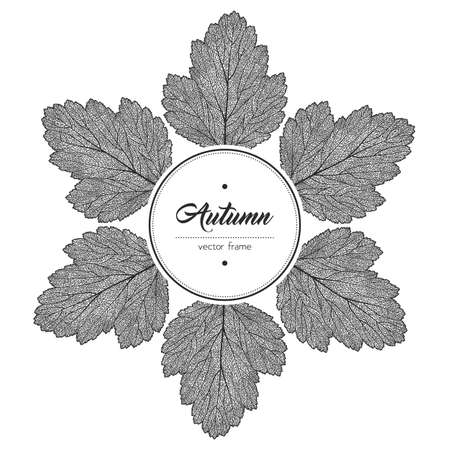 Round black and white leaf frame. Vector illustrationのイラスト素材