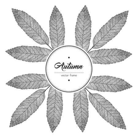 Round black and white leaf frame. Vector illustrationの写真素材