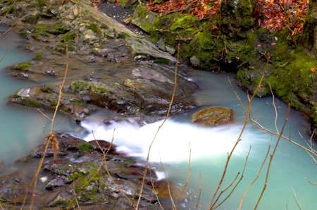 Waterfall with the branches