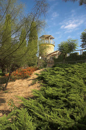 Arbor and greeen grass, Malgrat del Mar, Costa Brava, Spainの写真素材