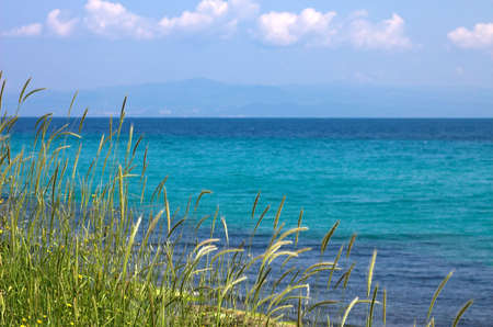 Grass, sea ans blue sky, Landscapeの写真素材