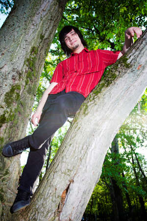 Boy seat on the tree, wide pictureの写真素材