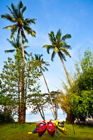 Kayaks on grass near palms. Thailand, Koh Chang, Klong Prao beachの写真素材
