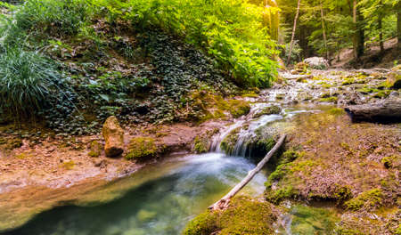 colorful landscape of rapid river greeneryの写真素材