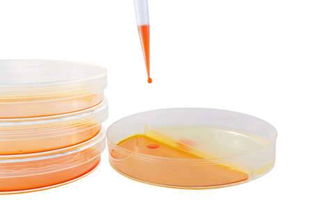 Culture media for medical research over white backgroundの写真素材