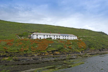 Seaside Cottages in Cornwall England on a hillside with orange crocosmia flowersの写真素材