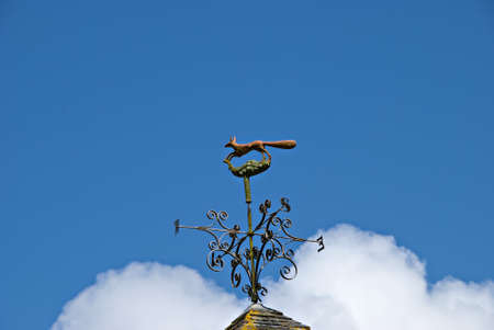 A Fox Weathervane against a blue skyの写真素材