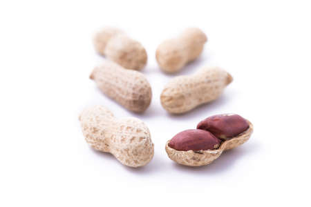 Peanut