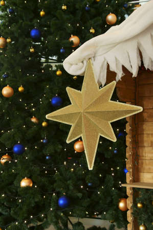 Christmas Star            の写真素材