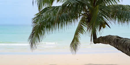 Beautiful tropical ocean with white sand, clear water and coconut tree in the relax atmosphere during the vacationの写真素材