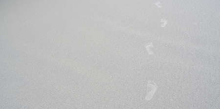 Summer beach concept : Footprints of human feet on the white sandの写真素材