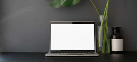 Open blank screen laptop computer in dark trendy workplace with copy space and tree pot の写真素材