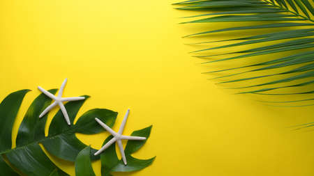 Abstract background, minimal summer concept with tropical leaves and starfish on yellow backgroundの写真素材