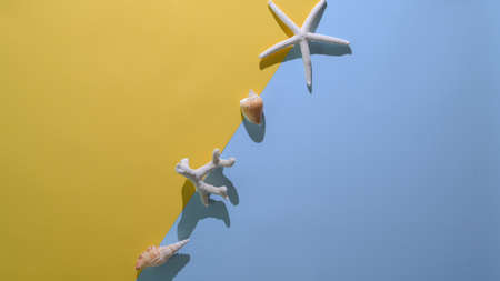Abstract background, minimal summer concept with starfish and shells on flat lay yellowed light blue backgroundの写真素材