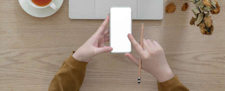 Overhead shot of female freelancer using mock-up smartphone while working with laptop in autumn...