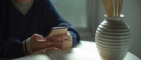 Cropped shot of a woman using smartphone while sitting at coffee table with decoration in living...