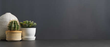Close up view of copy space and decorations with cactus pot, plant pot and vase on the table in living roomの写真素材