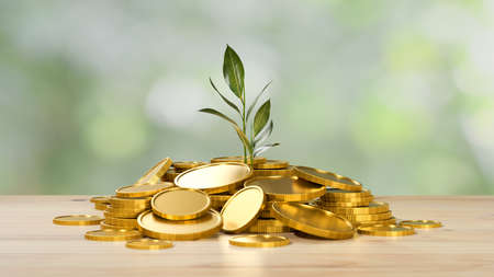 3D rendering, investment and saving money concept, a lot of gold coins with growing plant on wooden table symbol of wealth in blurred background, 3D illustrationの写真素材
