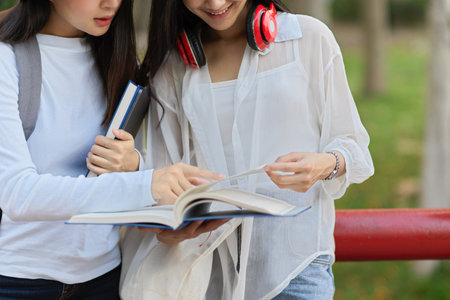 Close up view of two female university students outdoor study, tutoring to prepare their up coming exam at the parkの写真素材