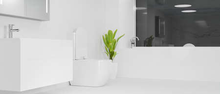 Modern spacious white hotel or penthouse bathroom interior design with white cabinet, toilet bowl and bathtub, basin, mirror and indoor plant. 3d rendering, 3d illustrationの写真素材