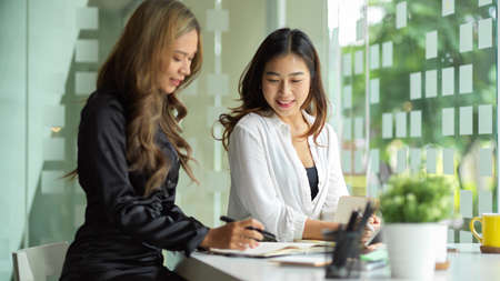 Happy businesswomen working and preparing information which be negotiated with a potential partner.の写真素材