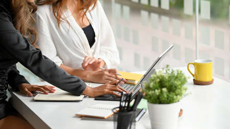 Cropped image of two marketing colleague discussing and planning new campaign together in the officeの写真素材