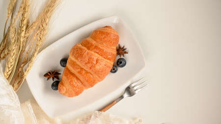 Baked croissant with fresh blueberries on a white plate with copy space on white background. top viewの写真素材