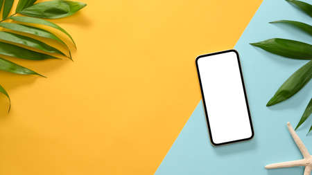 Creative colourful background with smartphone white screen mockup, starfish, palm leaf and copy...