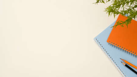 School notebook, pencil, decor plant and copy space for your text presentation on white background. Education, study workspace concept. top viewの写真素材
