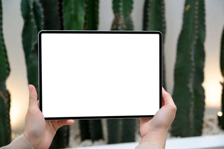 Woman hands holding digital tablet touchpad white screen mockup over blurred indoor cactus garden in the background. close-upの写真素材