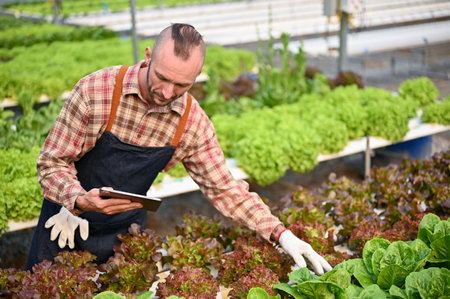 Determined and professional adult Caucasian male farmer or farm owner checking orders on tablet and...