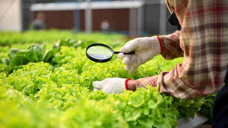 Cropped and close-up image of a determined male farmer using magnifying glass to check the quality...