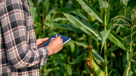 Close up view of male farm worker using digital tablet to keep up the process in corn planting. smart farming conceptの写真素材