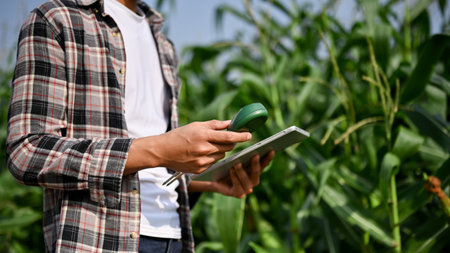 Close up view of male farm worker using digital tablet to keep up the process in corn planting.の写真素材