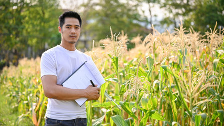 A handsome and professional millennial Asian male farmer or farm owner inspecting the quality of corn in his farm and checking for pests before harvest.の写真素材