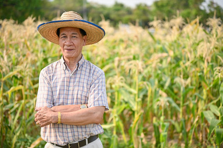 Successful and happy Asian-aged male farmer or corn farm owner in straw hat stands in his cornfield with arms crossed. Agricultural business owner conceptの写真素材
