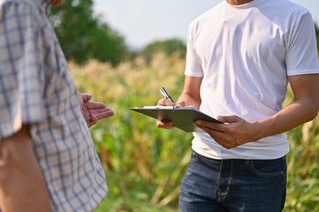 Cropped image of a millennial Asian male corn field owner talking and working with an old farmer, inspecting the corn harvest quality. Agricultural businessの写真素材