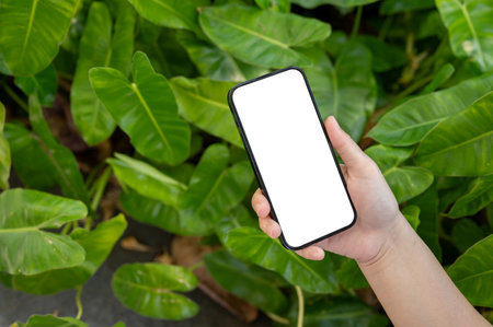 A close-up image of a white-screen smartphone mockup for displaying your graphic ads is in a woman's hand against a blurred background of green plants.の写真素材