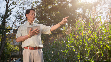 Senior Asian farmer or corn farm owner with a digital tablet, inspecting the corn crops in his corn...
