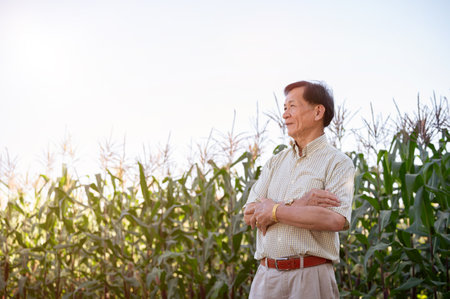 A successful senior Asian farmer stands proudly with his arms crossed in his corn field. Agricultural conceptの写真素材