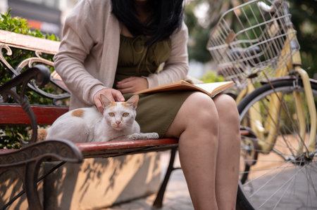 A beautiful Asian woman is playing with a stray cat while reading a book on a bench outdoors in the city. a cropped imageの写真素材