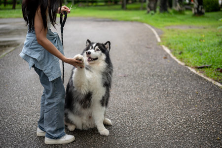 An Asian female dog owner training her dog while giving him a walk in a green public park, asking for handshake and talking with him. a cropped image with a copy spaceの写真素材