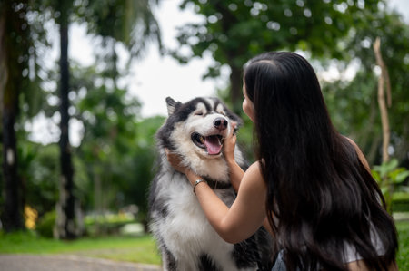 A happy Asian woman is talking, petting, and playing with her dog, enjoying a fun and joyful moment together in a green park. Siberian husky dog, pet, animalの写真素材